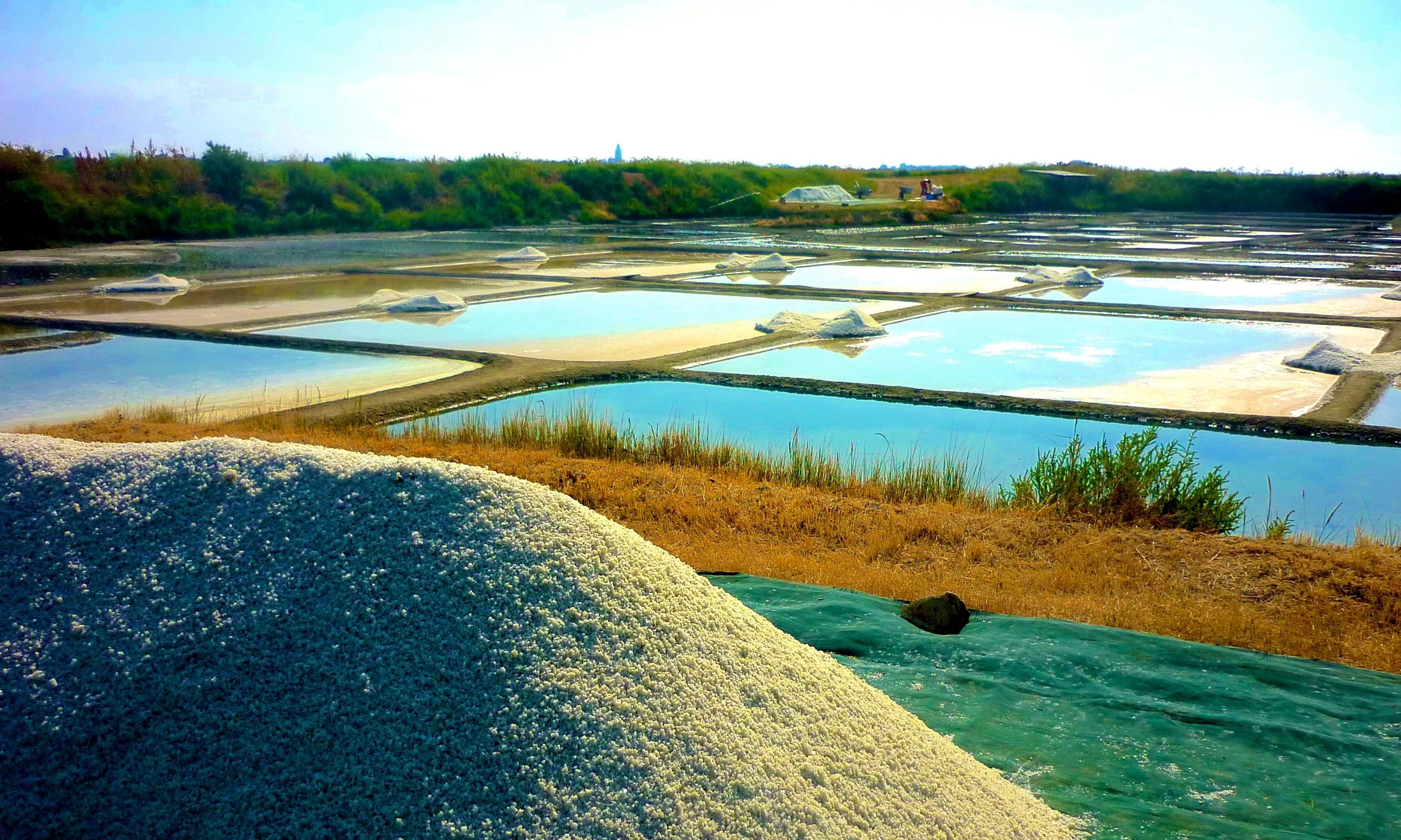 Saline de Lancrain