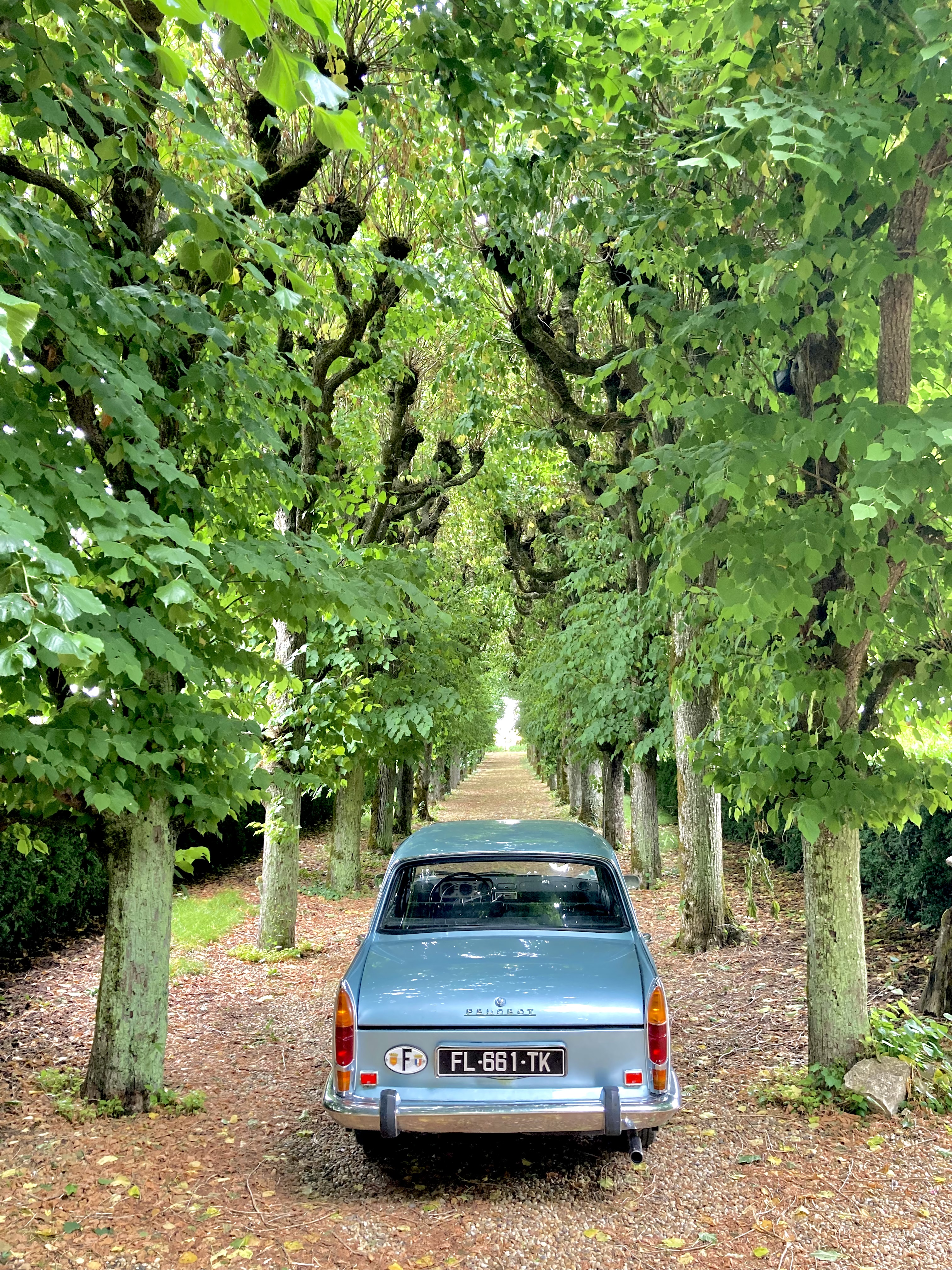 Rétro Balades Location Peugeot 404